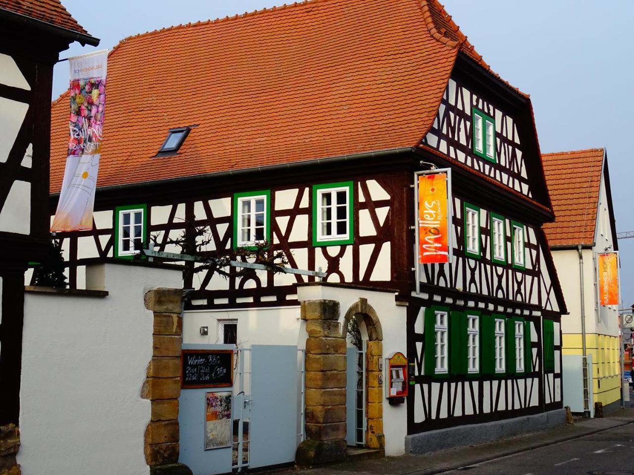 Salischer Hof Schifferstadt Luaran gambar